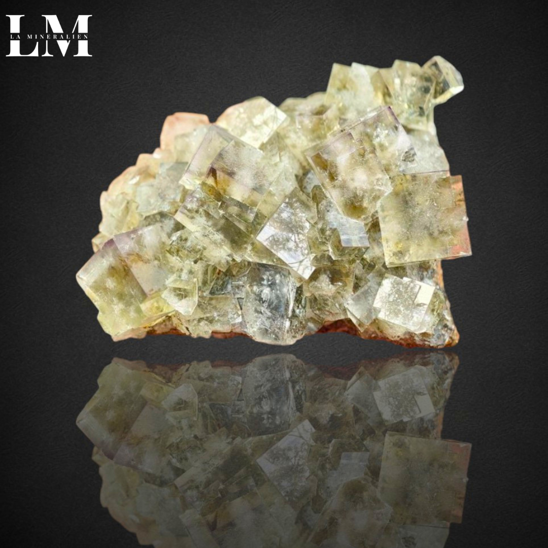 8. 2604_MOP8 (1).png