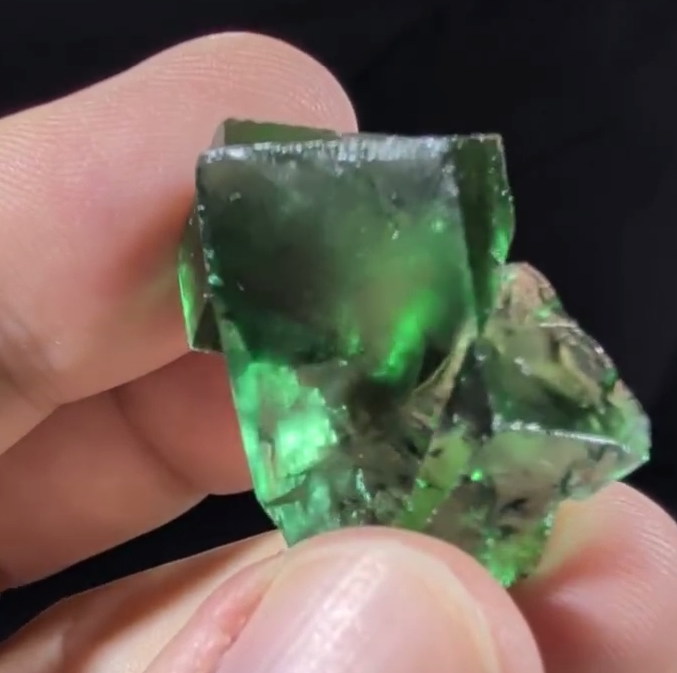 Media viewer 2026-02-07 02.12.15.png