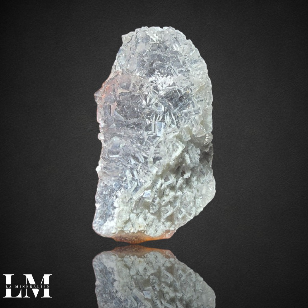 7. 1125_XHL3 (1).png