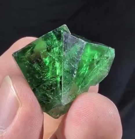 Media viewer 2026-02-07 02.48.22.png