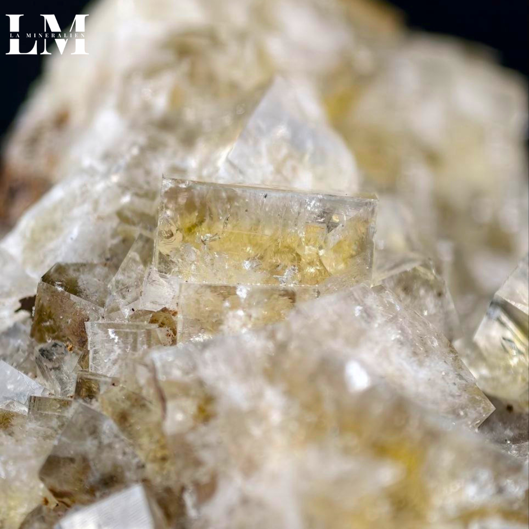 13. 2604_MOP13 (2).png