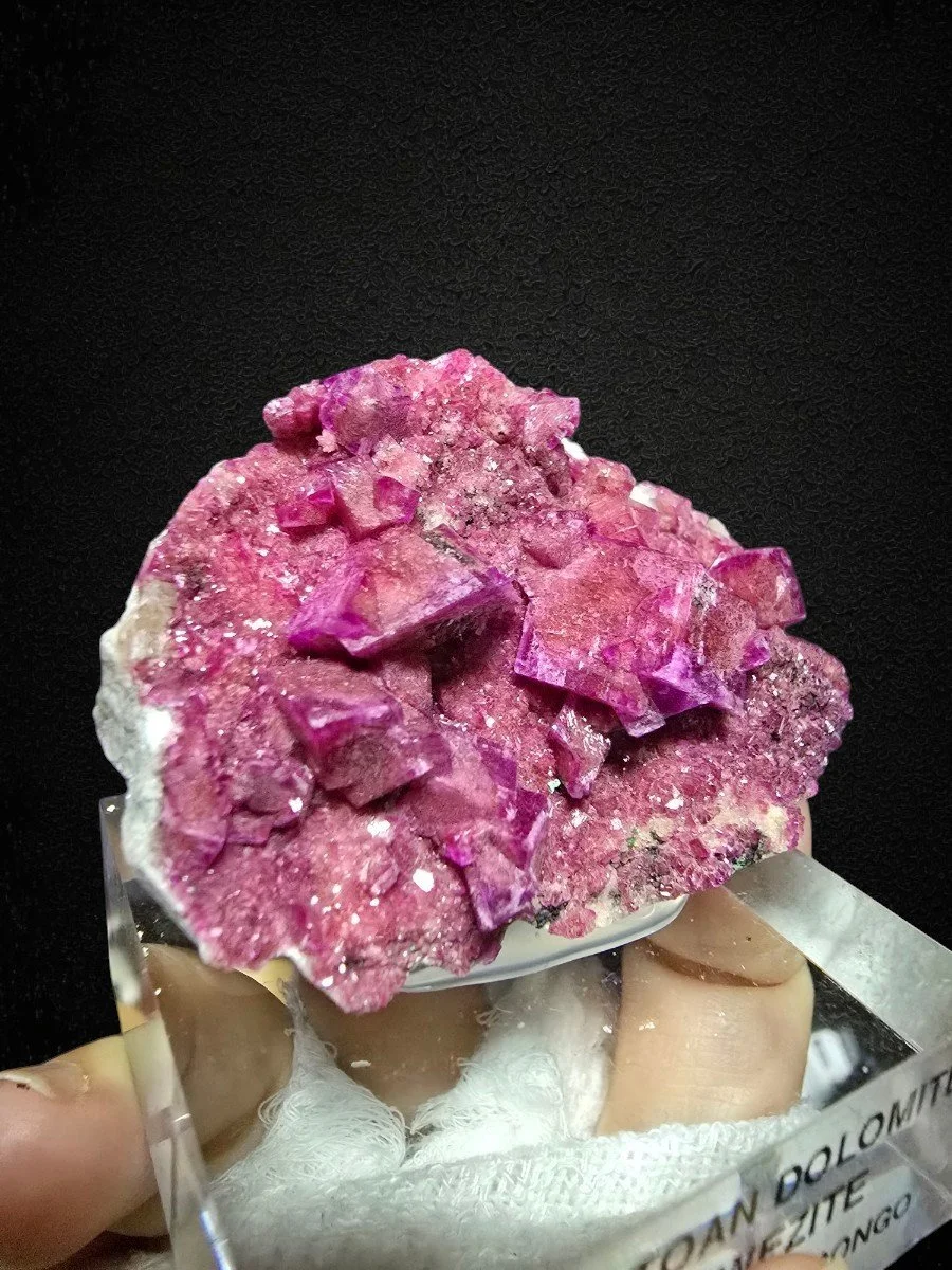 KakaoTalk_20260826_231758315 (1).jpg