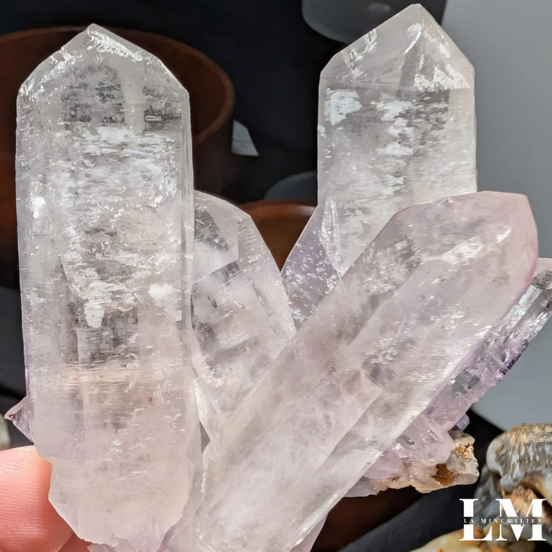 photo_2025-12-26_12-14-28 (4).jpg