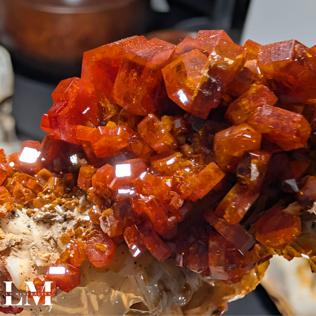 8. 1225_VBM1 (2).png