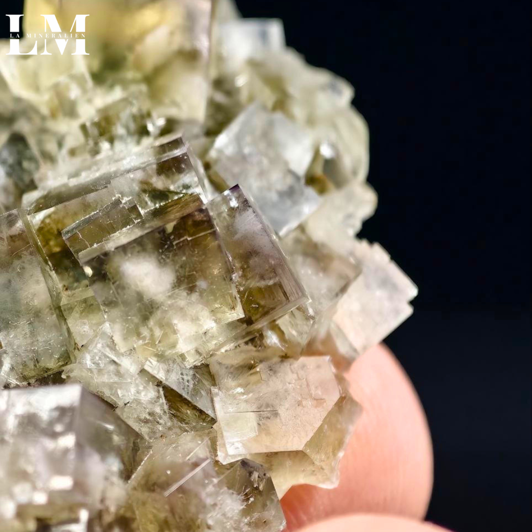 8. 2604_MOP8 (4).png