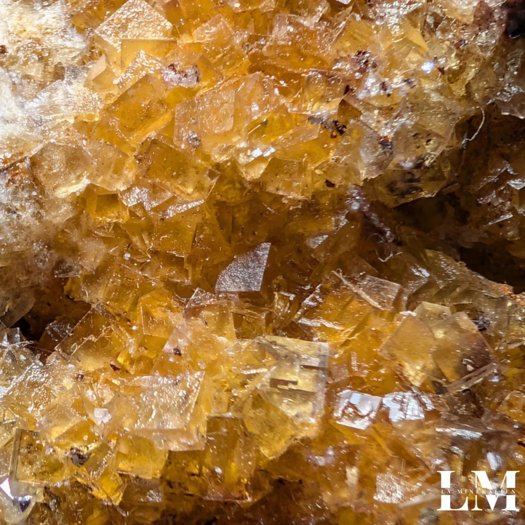 photo_2025-12-26_12-15-50 (3).jpg