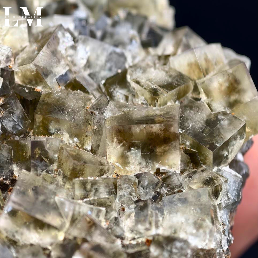 5. 2604_MOP5 (2).png