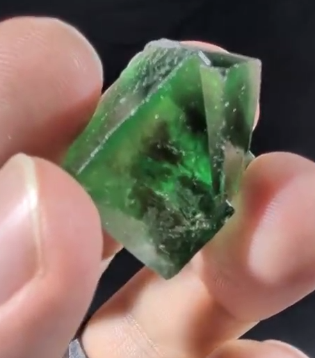 Media viewer 2026-02-07 01.32.48.png