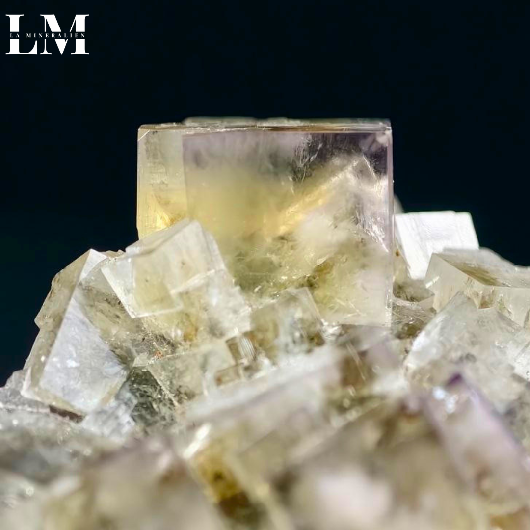 8. 2604_MOP8 (3).png