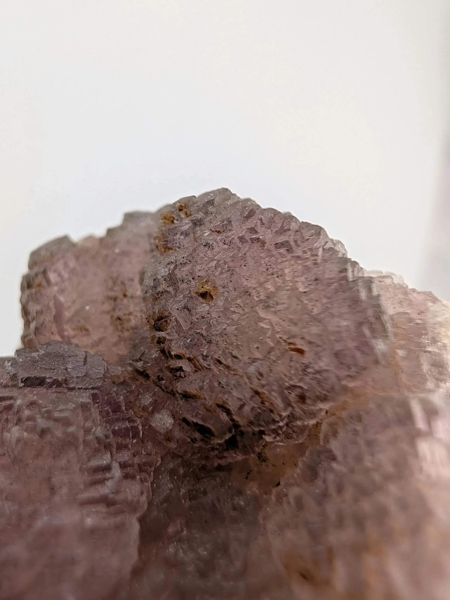 1026_FQM1 (4).jpeg