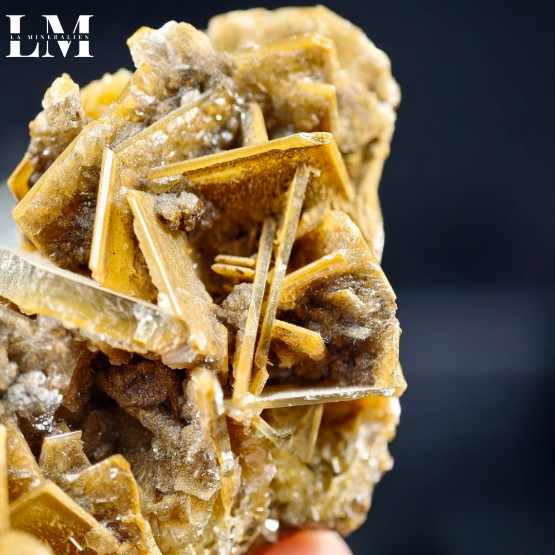 20. 2604_BC1 (2).png