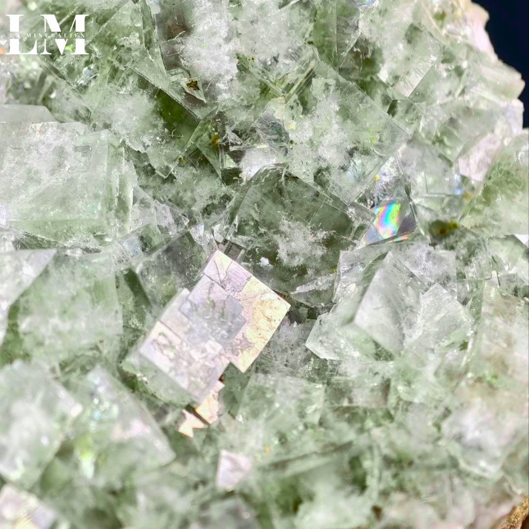 6. 2604_MOP6 (2).png