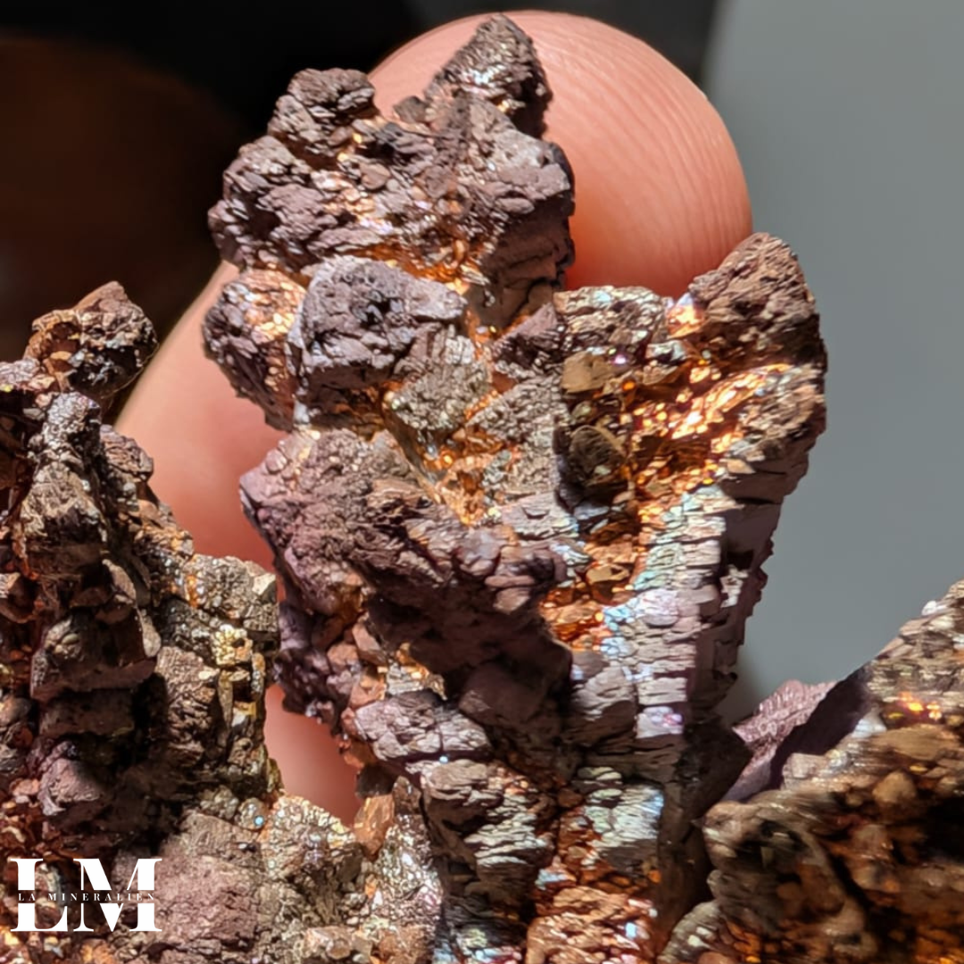 1. 1225_NVR1 (4).png