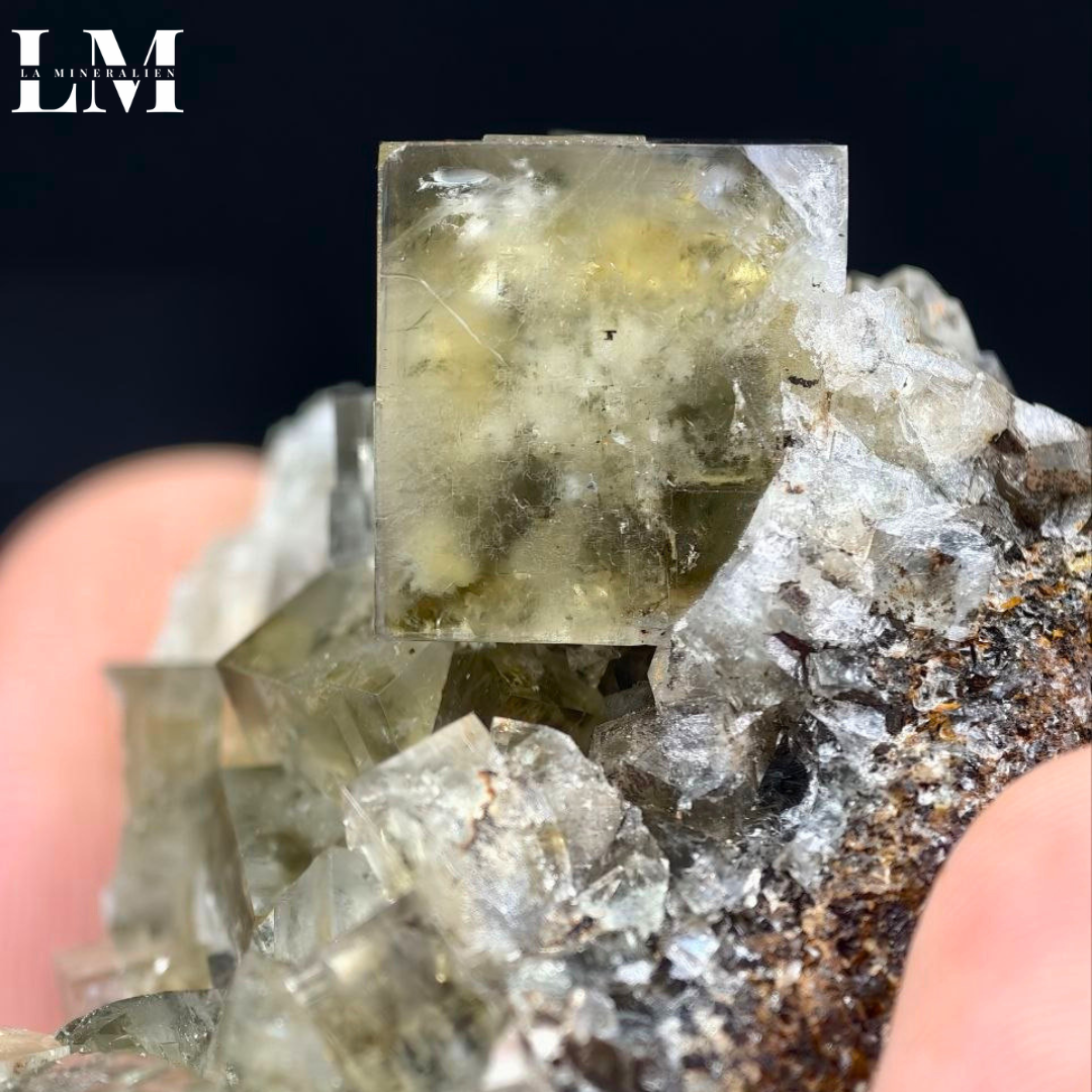 4. 2604_MOP4 (2).png