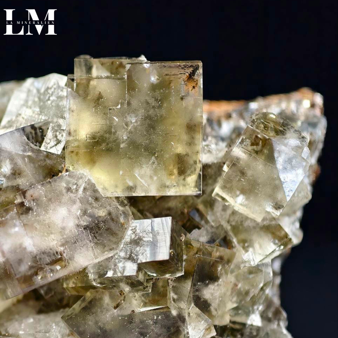 8. 2604_MOP8 (2).png