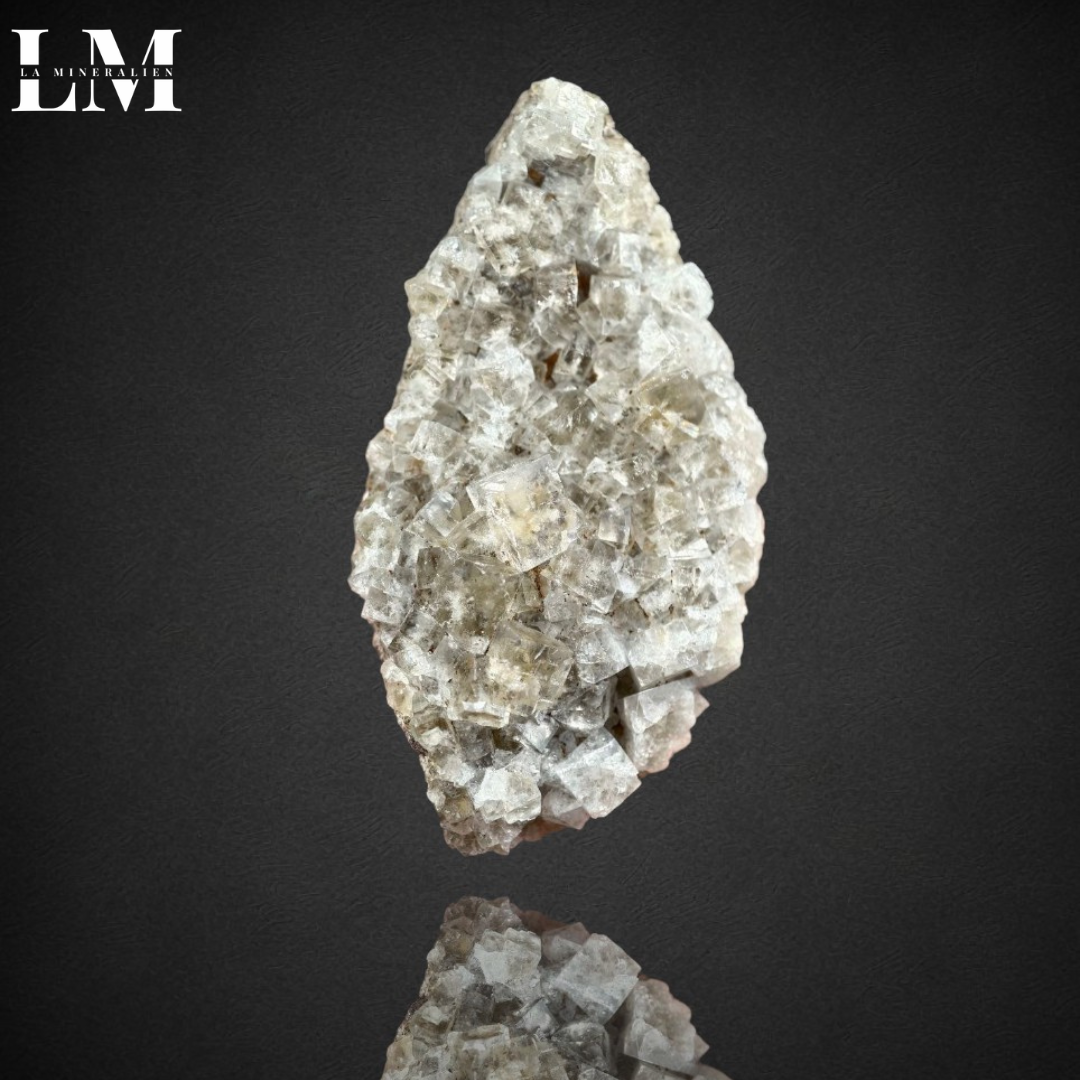 2. 2604_MOP2 (1).png