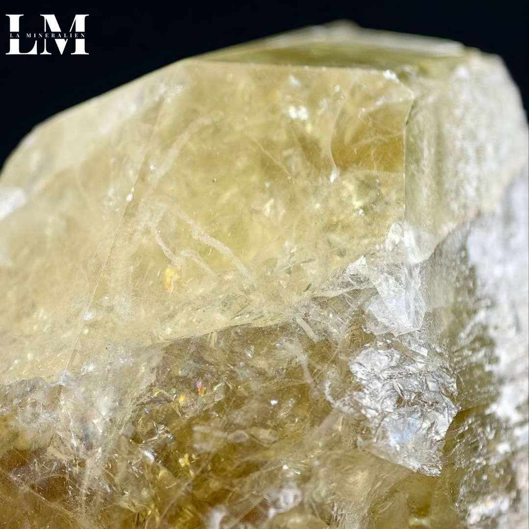 14. 2604_AUSA1 (2).png