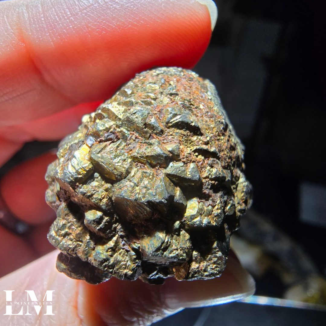 10. 1125_PCC3 (4).png