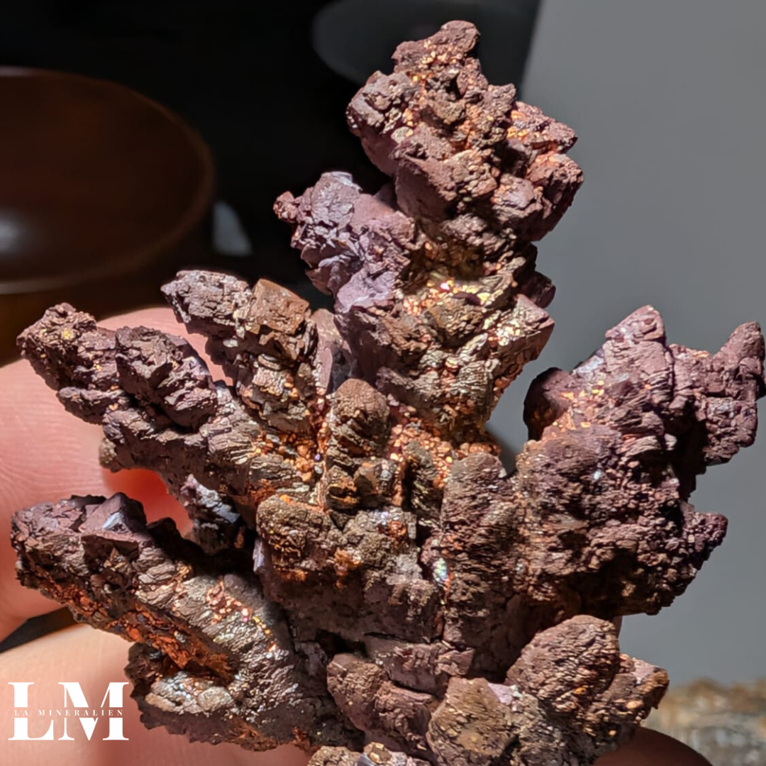 1. 1225_NVR1 (2).png