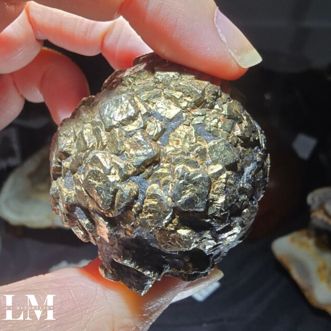 9. 1125_PCC2 (2).png