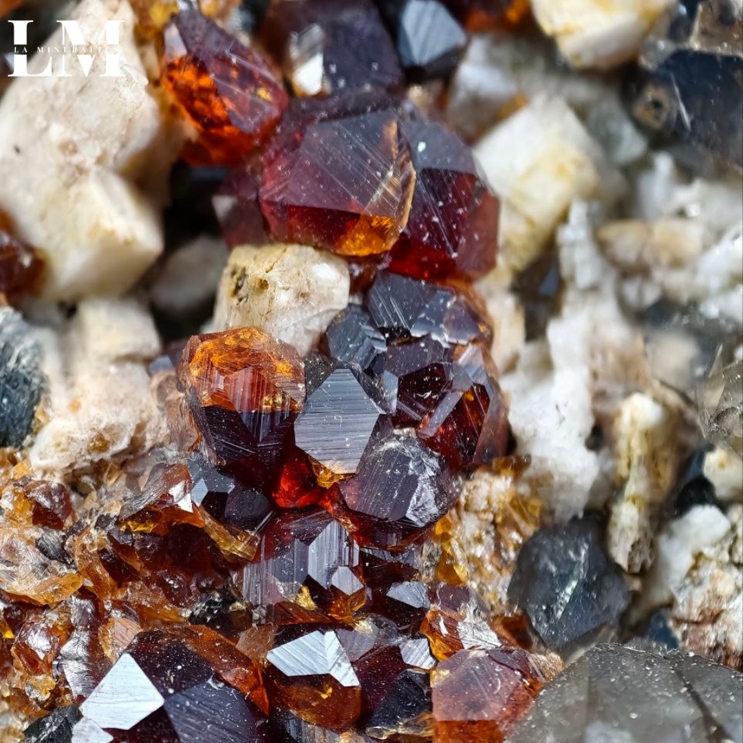 19. 2604_SQG1 (3).png