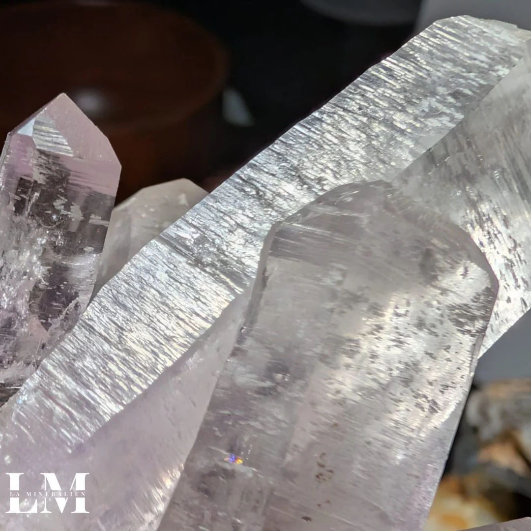 photo_2025-12-26_12-14-28 (2).jpg