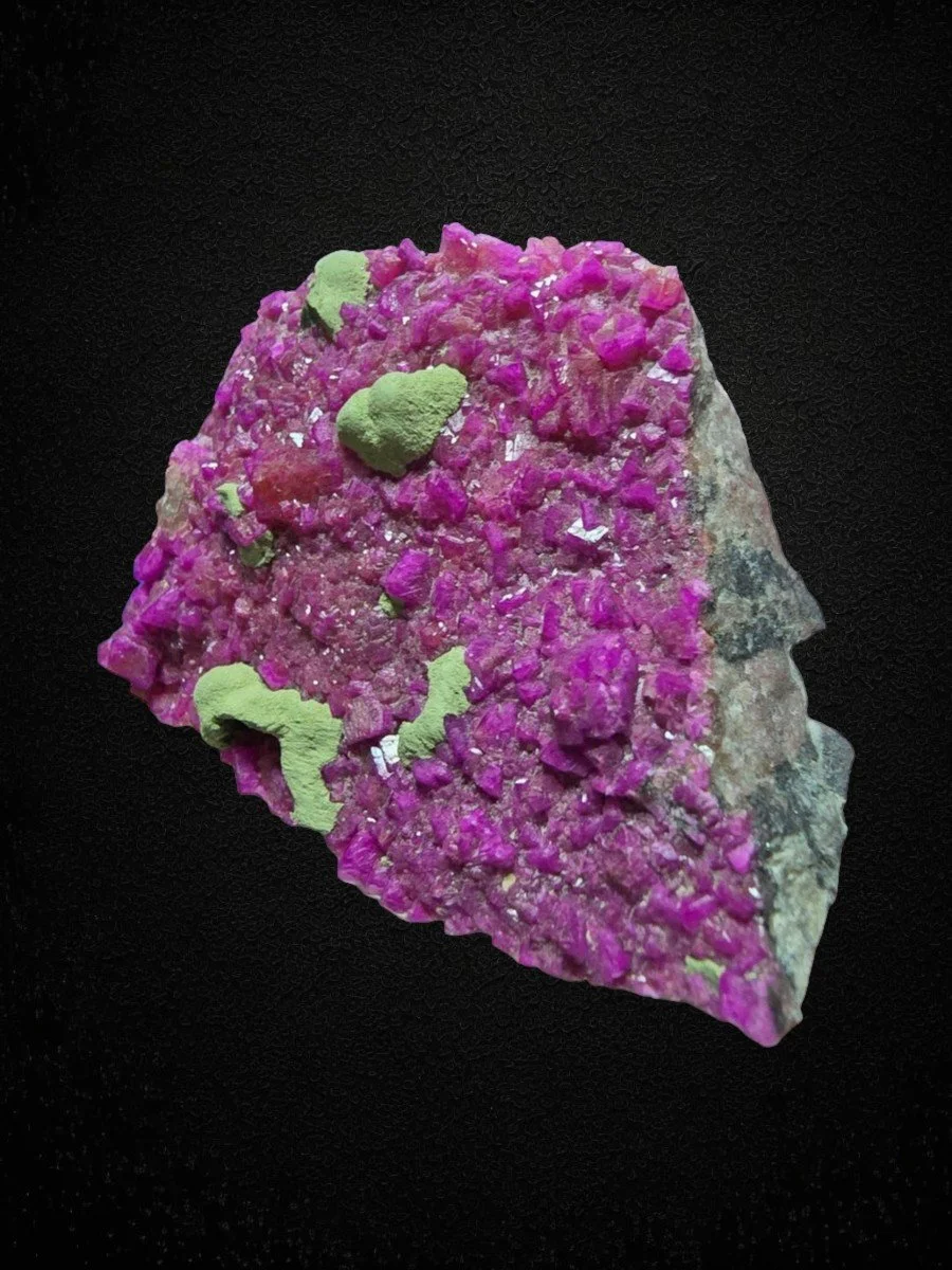 CDOL-11 (2).jpg