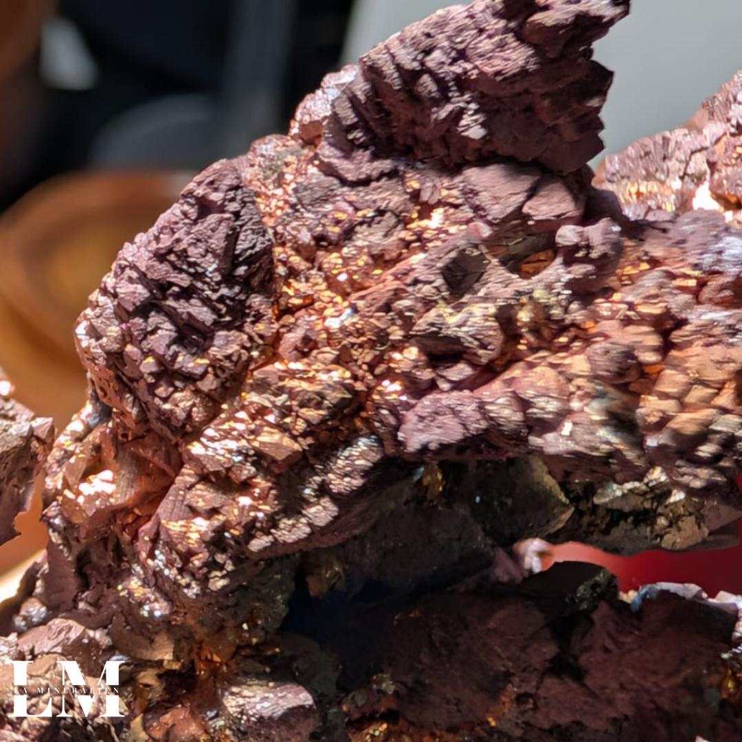 1. 1225_NVR1 (3).png