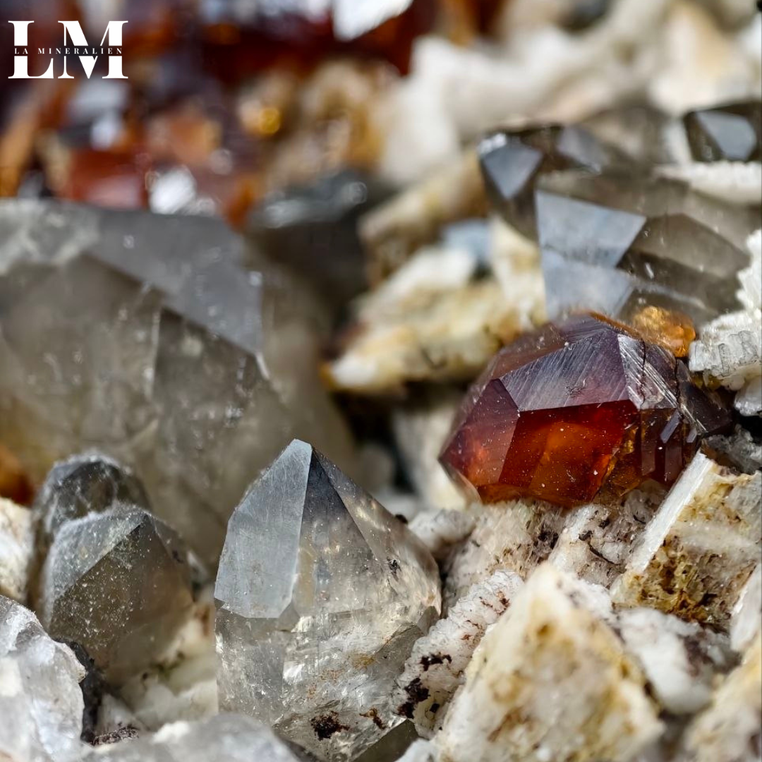 19. 2604_SQG1 (2).png