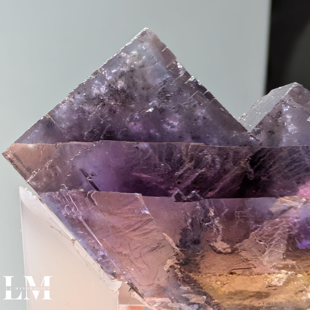 13. 1225-MIN1-1 (2).png