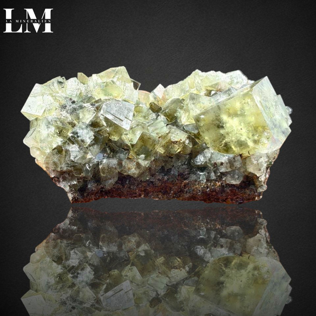 4. 2604_MOP4 (1).png