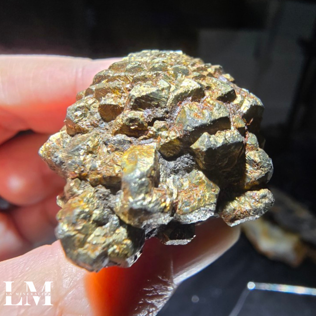 10. 1125_PCC3 (3).png