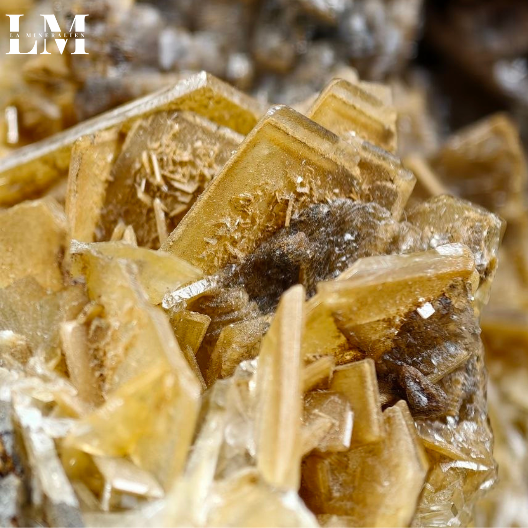 20. 2604_BC1 (3).png