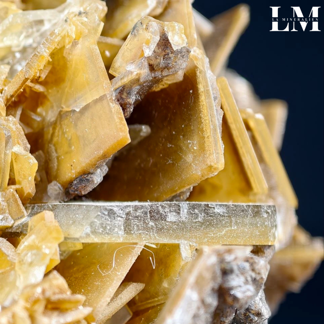 20. 2604_BC1 (4).png