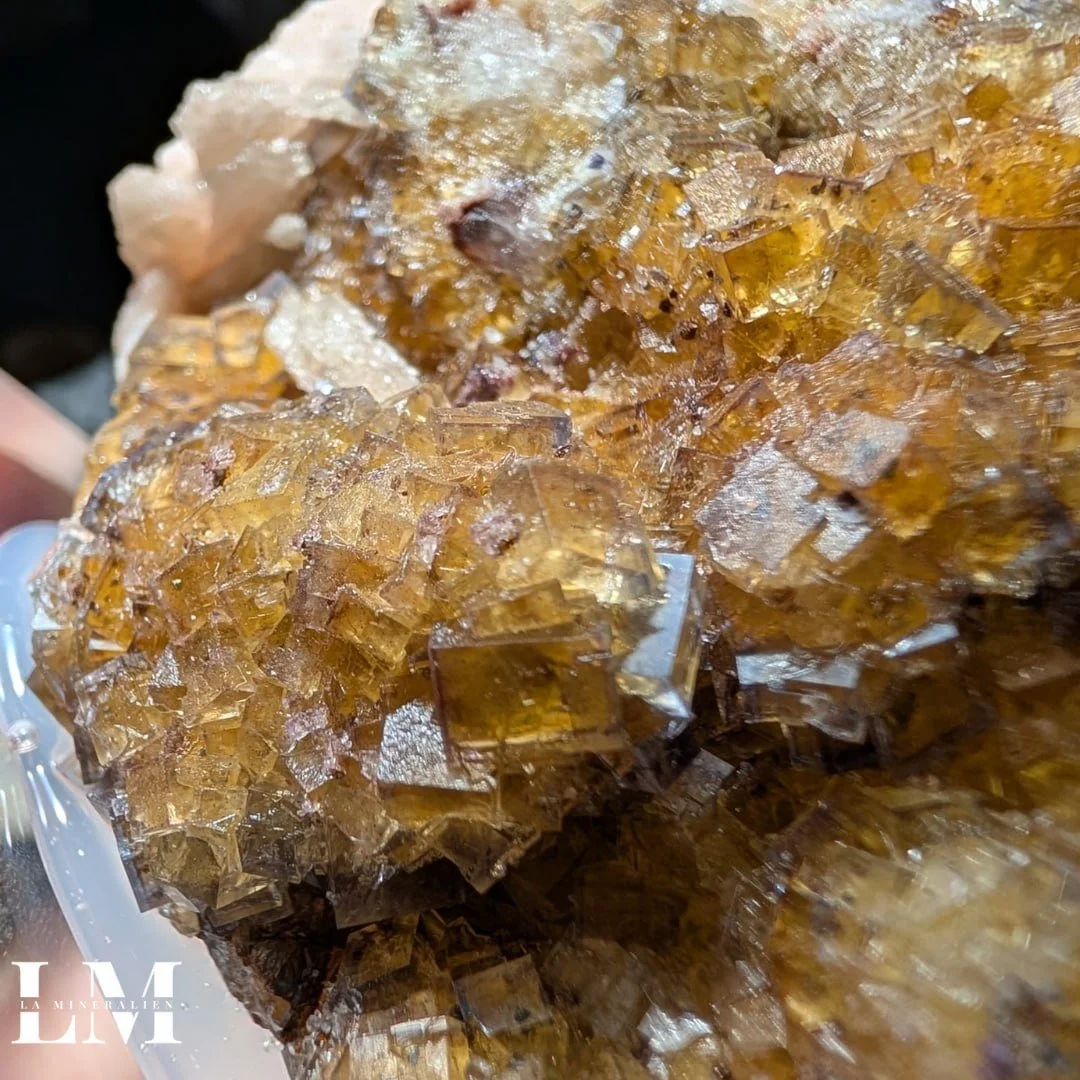 photo_2025-12-26_12-15-50 (2).jpg