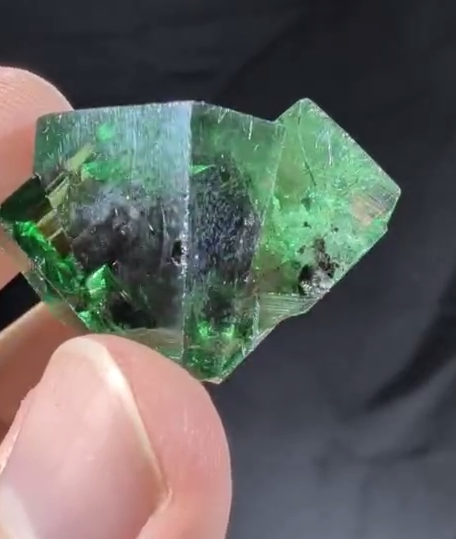 Media viewer 2026-02-07 02.53.01.png