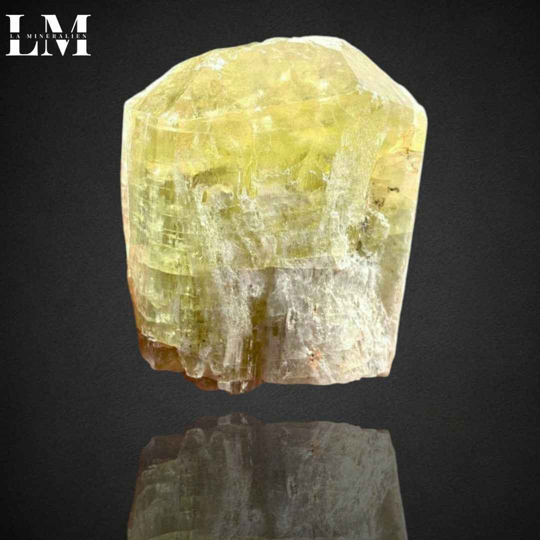 15. 2604_AUSA2 (1).png