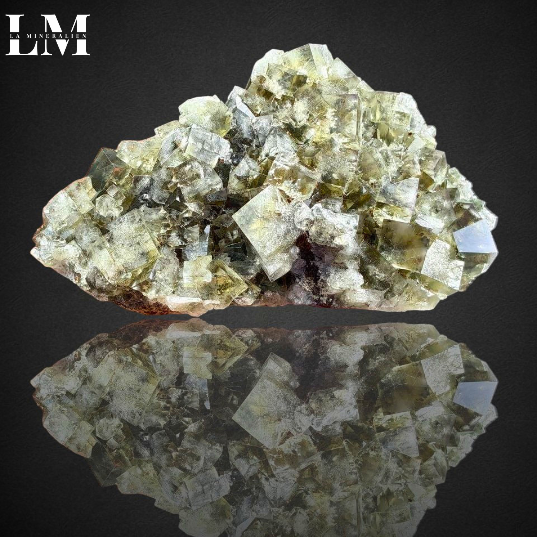 5. 2604_MOP5 (1).png