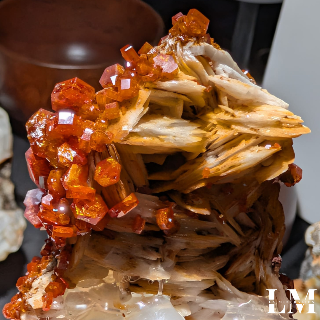 8. 1225_VBM1 (4).png