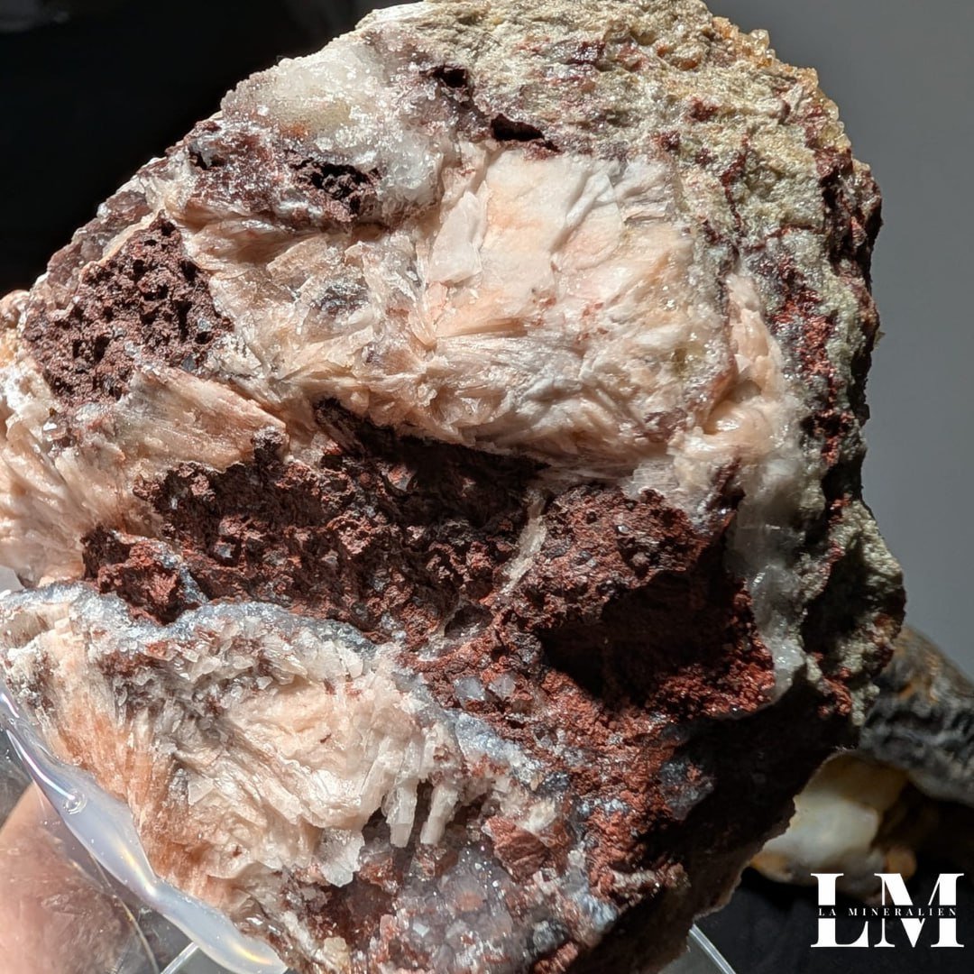 photo_2025-12-26_12-15-50 (4).jpg