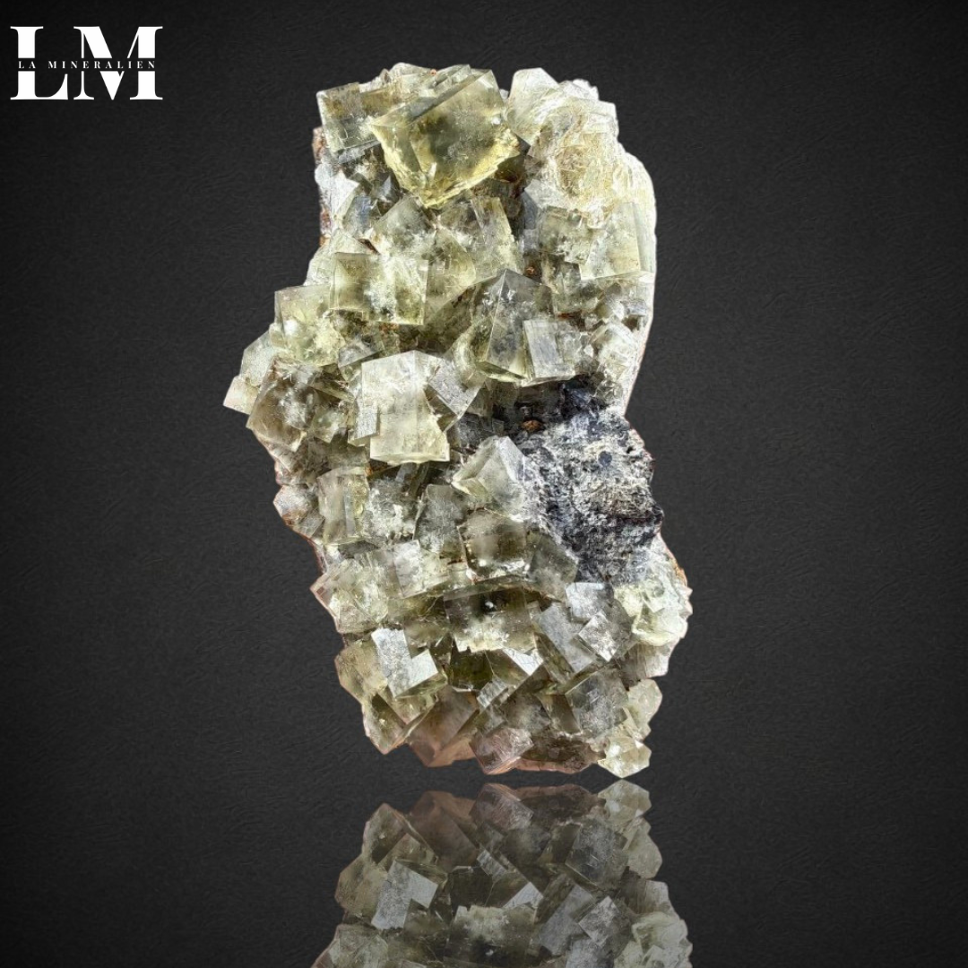 3. 2604_MOP3 (1).png