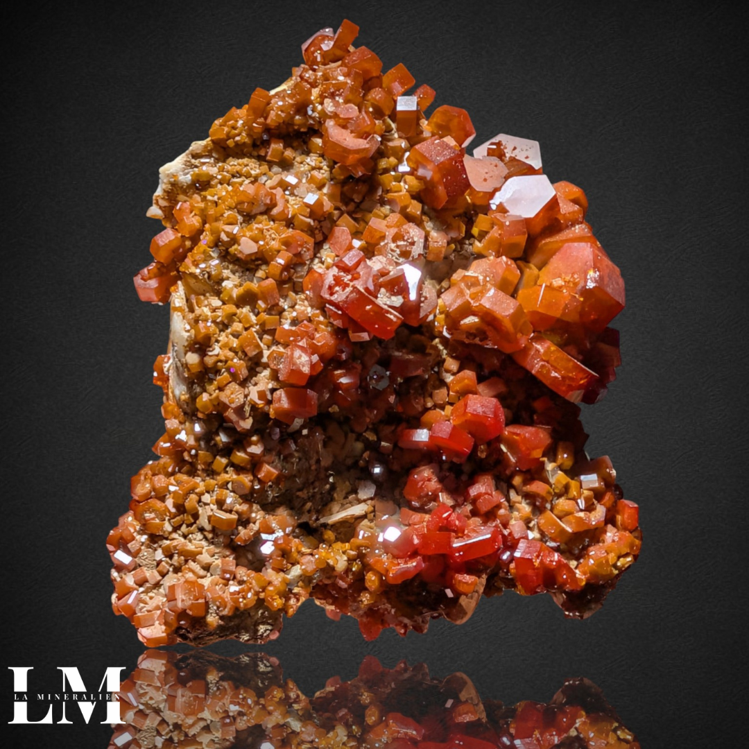 8. 1225_VBM1 (1).png