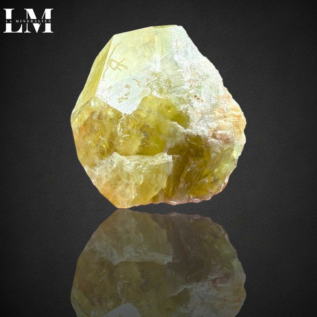 14. 2604_AUSA1 (1).png