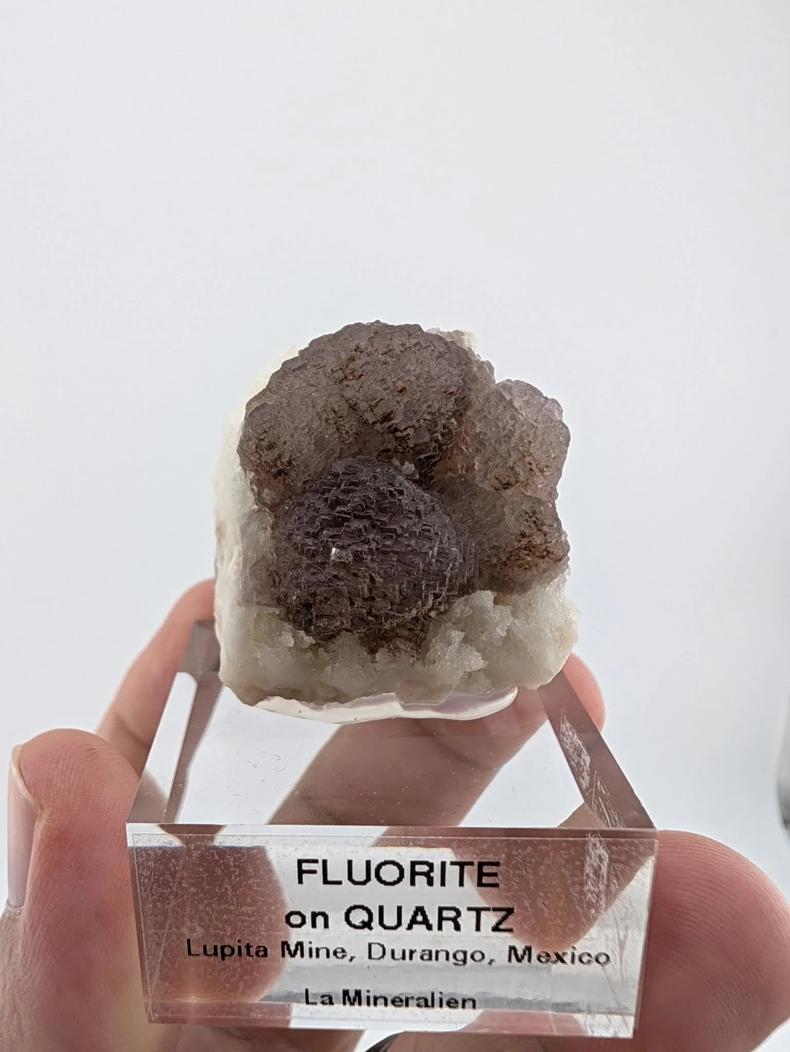 1026_FQM1 (1).jpeg