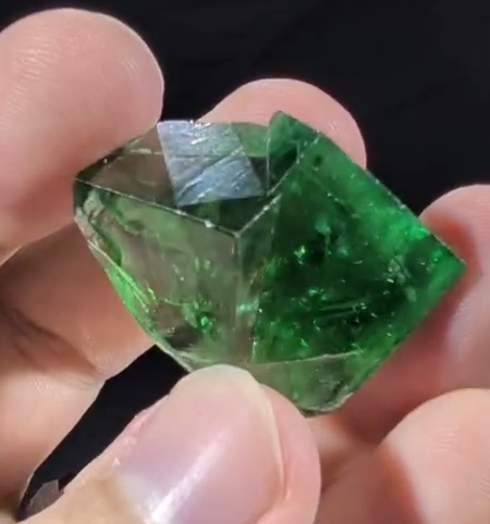 Media viewer 2026-02-07 02.42.50.png