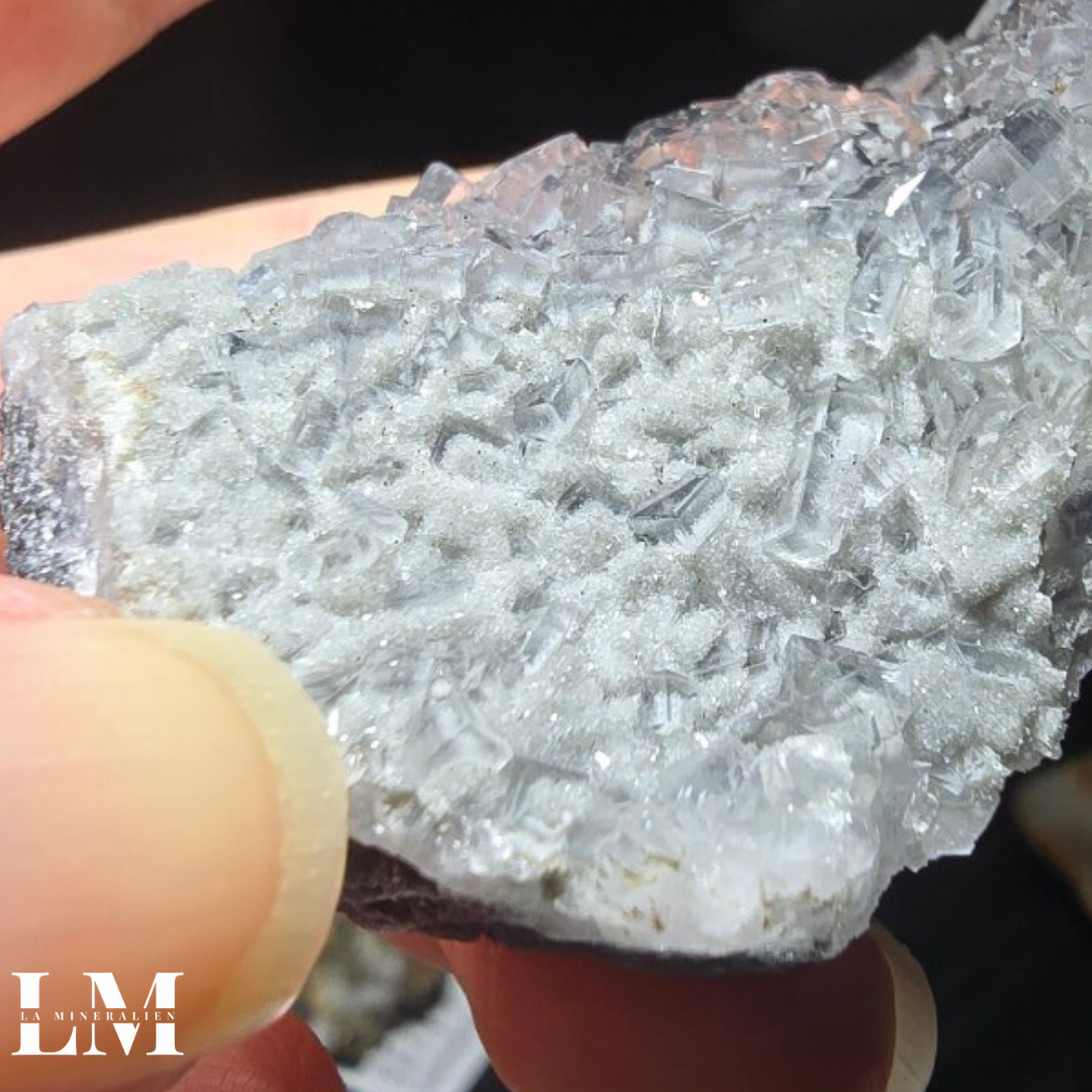 7. 1125_XHL3 (3).png