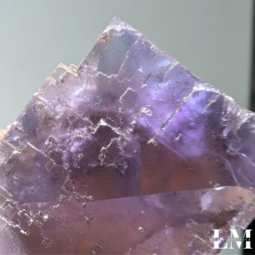 13. 1225-MIN1-1 (3).png