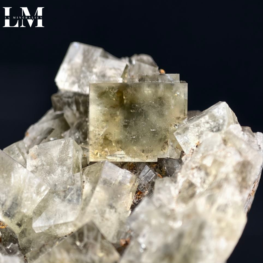 3. 2604_MOP3 (2).png