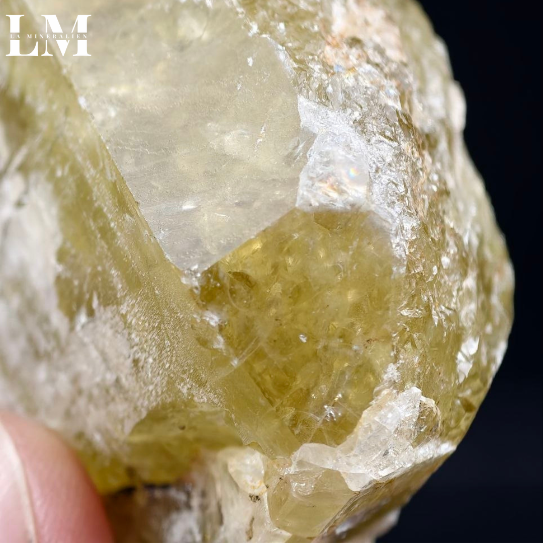 15. 2604_AUSA2 (2).png