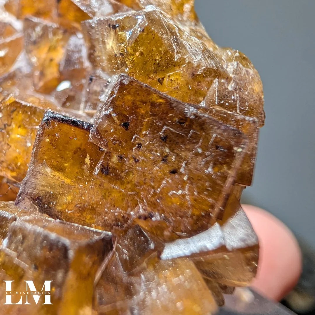 photo_2025-12-26_12-18-08 (3).jpg